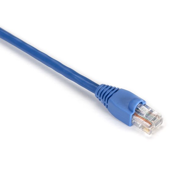 Black Box 3ft Cat5e networking cable 0.9 m U/UTP (UTP) Blue