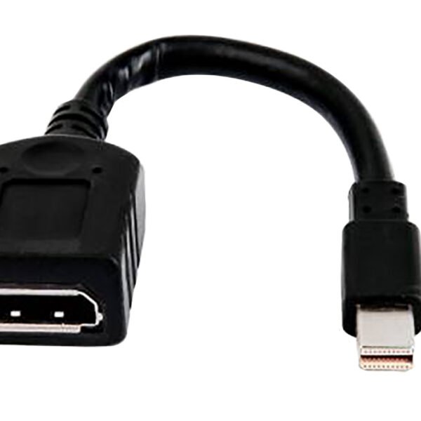 HP INC. Single Mini DisplayPort to DisplayPort Adapter Cable