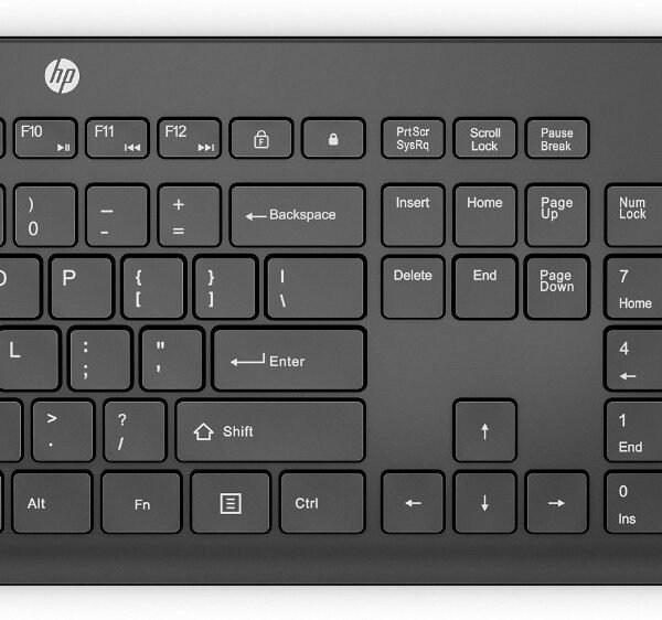 HP INC. 235 Wireless Mouse and Keyboard Combo (1Y4D0UT) QWERTY
