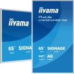 IIYAMA ProLite 65 inch 4K UHD Display 3840x2160